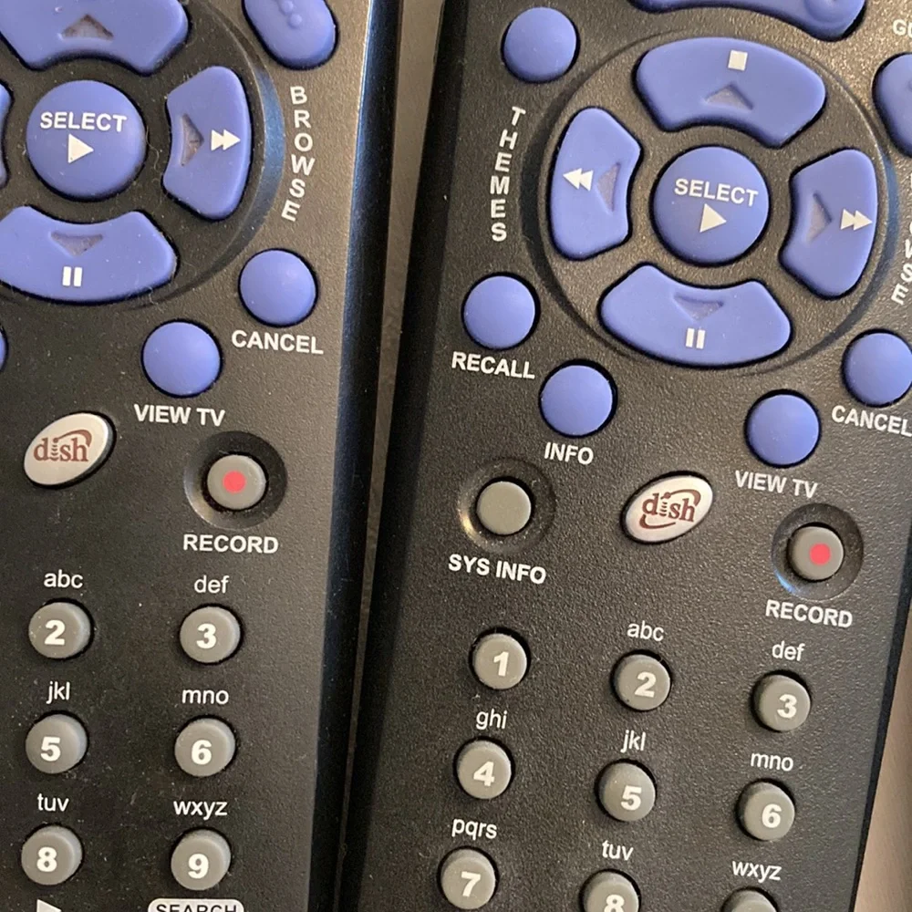 Dish as pictured